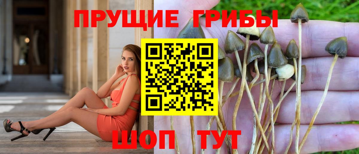 Галлюциногенные грибы мицелий  купить закладку  Анжеро-Судженск  Вход с VPN 